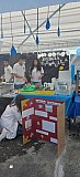 Expo ciencia